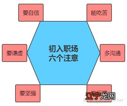 职场新人如何调整心态以适应新的工作环境呢？