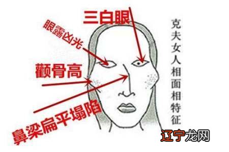 女人带有狐狸眼命好吗_女人什么时辰命带桃花_享福命的女人一眼就带福相