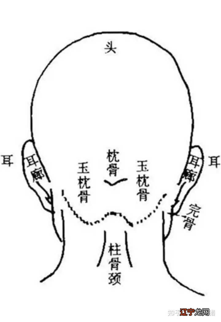 相学额头几指宽才好_额头两边凹陷相学_额头窄脸宽怎样盘发