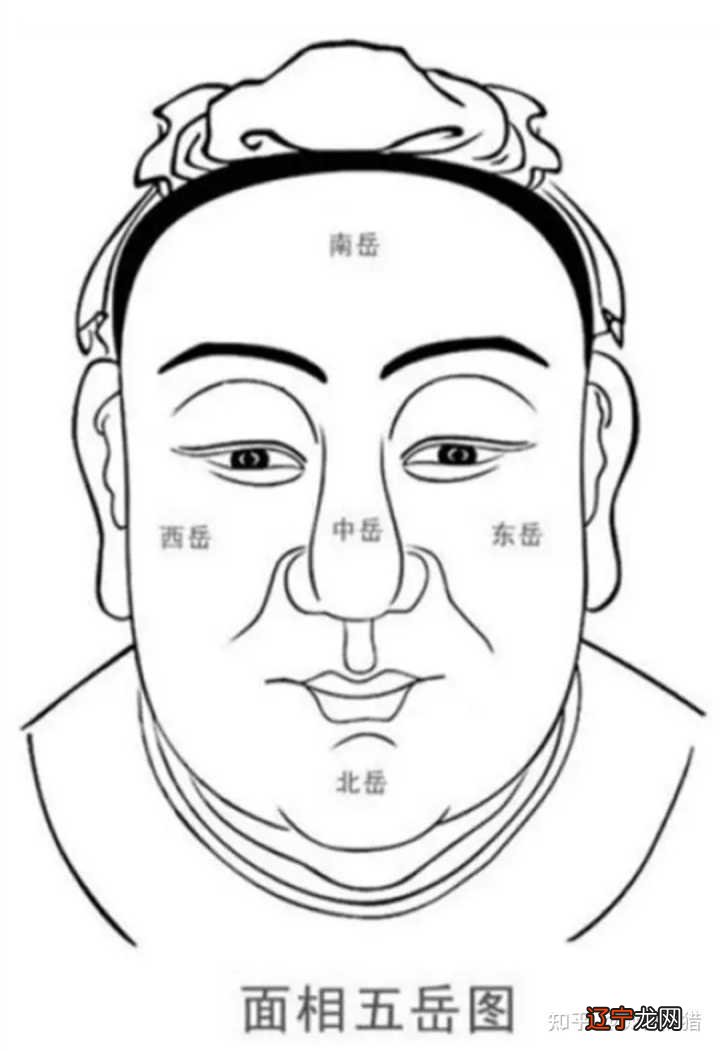 相学额头几指宽才好_额头两边凹陷相学_额头窄脸宽怎样盘发