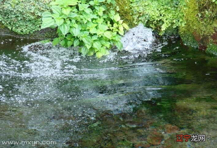 梦见疏通流水_梦见弟弟住新房子有小沟流水_孕妇梦见自己耳朵流水