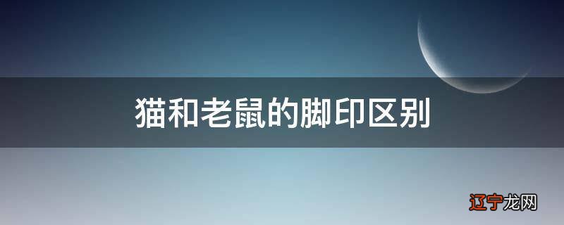 七仙女下凡好时到是什么生肖_玉兔下凡是什么生肖_下凡属什么生肖