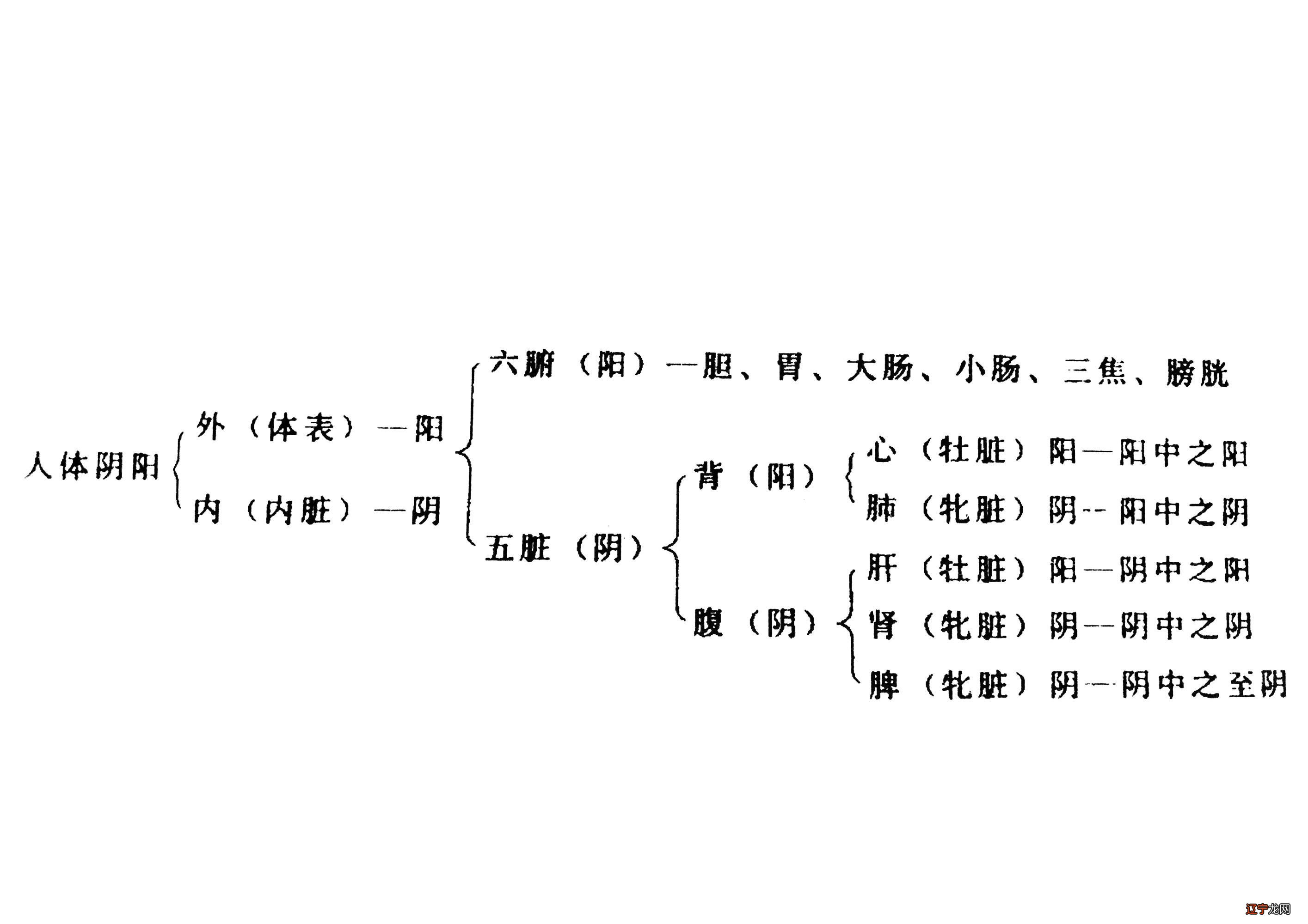 阴阳和合术散_御女术之阴阳双修_阴阳术数之学29