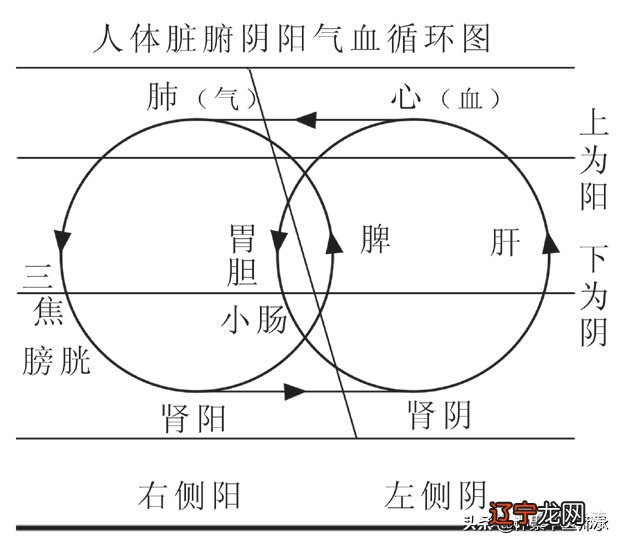 御女术之阴阳双修_阴阳术数之学29_阴阳和合术散