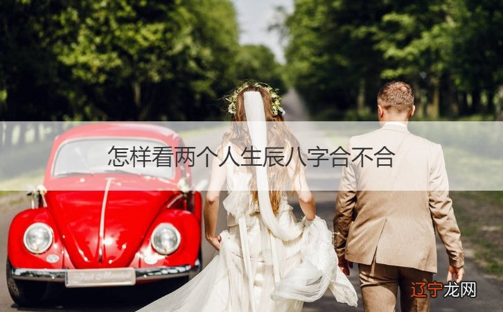 男女八字合婚准则_男女日干支相冲能合婚吗_男女八字合婚