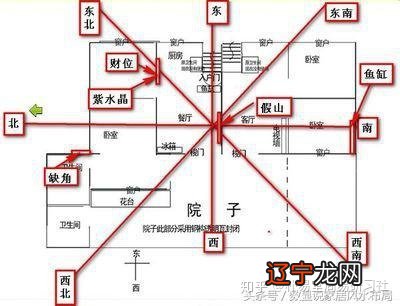 生辰八字养鱼数目_plt血小板数目偏高_玉树地震苍井空捐款数目