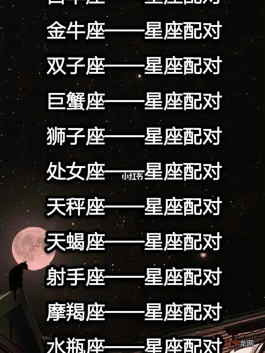 水瓶是什么象星座_水瓶座 土象星座_星座土象风象