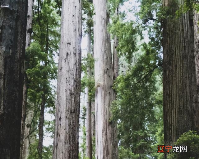 水瓶座 土象星座_星座分土象风象火象_风象水象火象土象哪个厉害