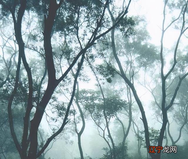 星座分土象风象火象_水瓶座 土象星座_风象水象火象土象哪个厉害