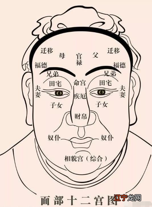 四维彩超五官看像男孩_五官看一个人运势_从五官看男人