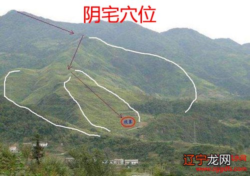 山形风水学_好风水墓地山形图片_学风水