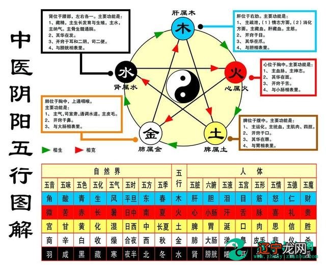 易经 周易_阴宅学周易还是易经_周易古筮考周易尚氏学