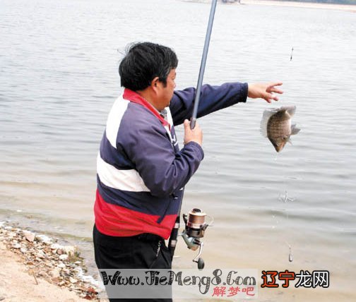 怀孕梦见捉鱼是什么意思_梦见自己在田里捉鱼是什么意思_孕妇梦见捉鱼是什么意思