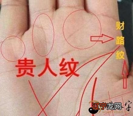 手掌纹路看命运图_手掌纹路生命线图解_手掌纹路看运势