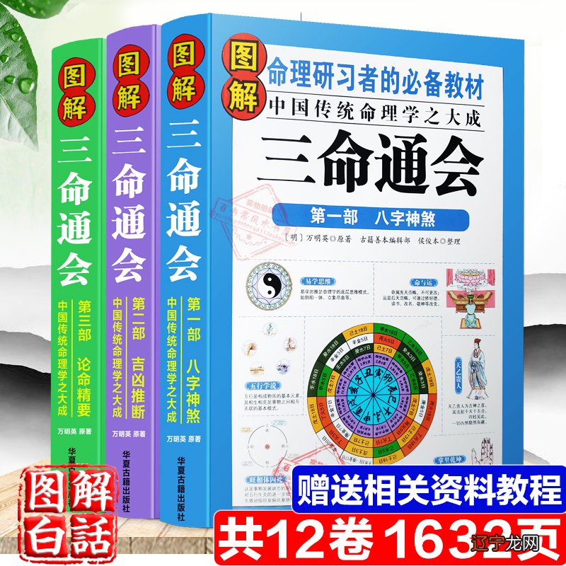 命理八字看爱豆_初学命理看哪本书_命理看倪萍有这样儿子