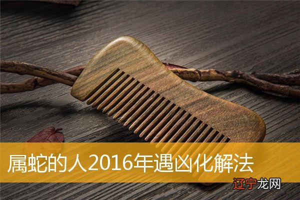 2016属猴的生肖小人是_勾心斗角是小人是指什么生肖_2016年的猴五行属什么