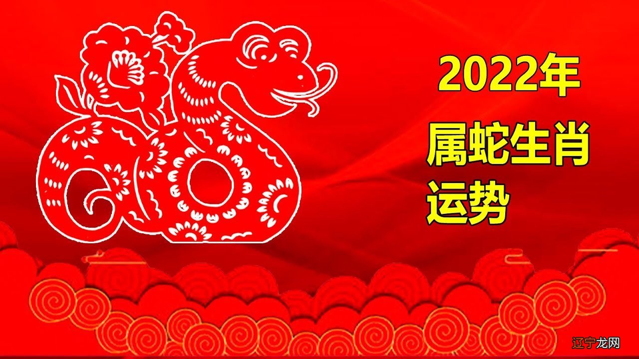 属蛇的男68岁看运势_2018属蛇人全年运势男_2017属猪人每月运势男