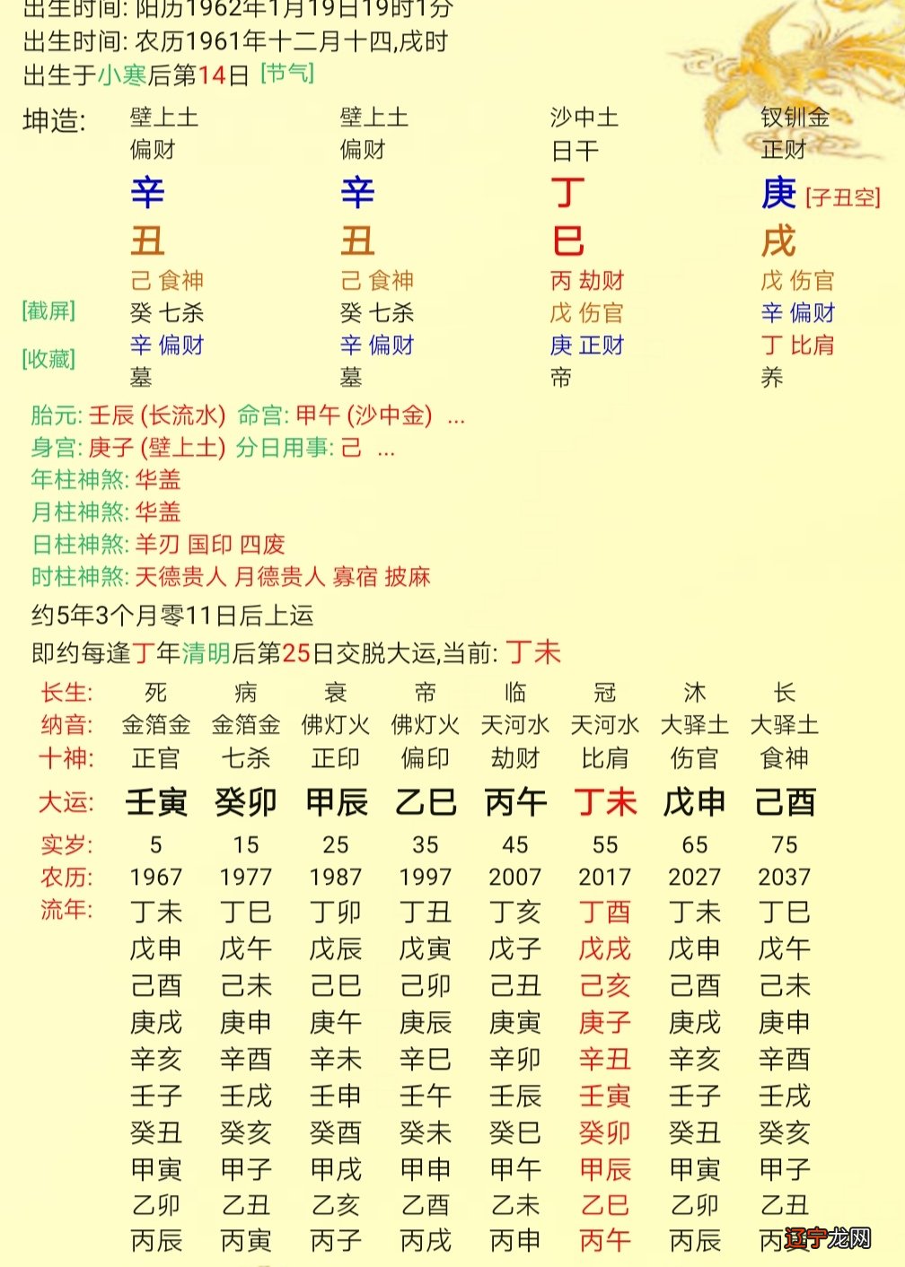 年柱月柱日柱时柱查询_合婚年柱和日柱相合好吗_丁卯日柱适合婚配的日柱