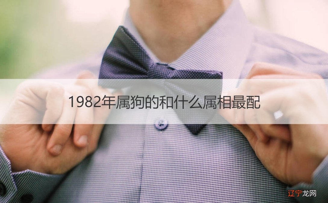 男属狗带什么生肖_生肖属金的人带什么饰品_属狗的带什么生肖