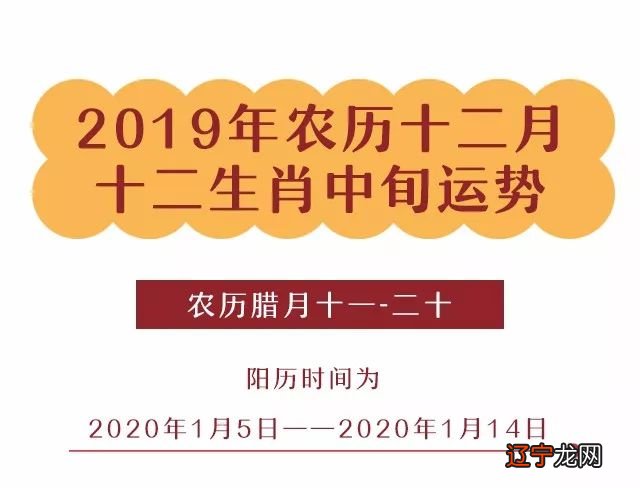 2014年属蛇的爱情运势_属兔五月爱情运势提前看_属龙人2018年的运势和爱情情况