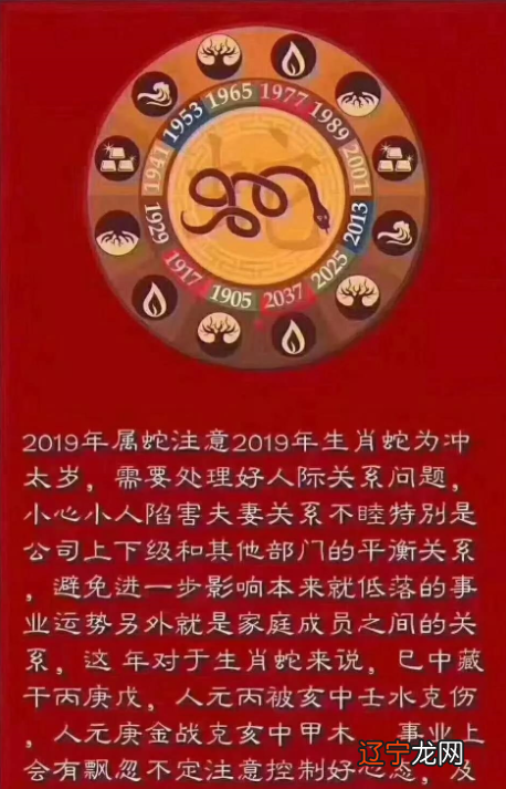 2019（己亥）年太岁与化解