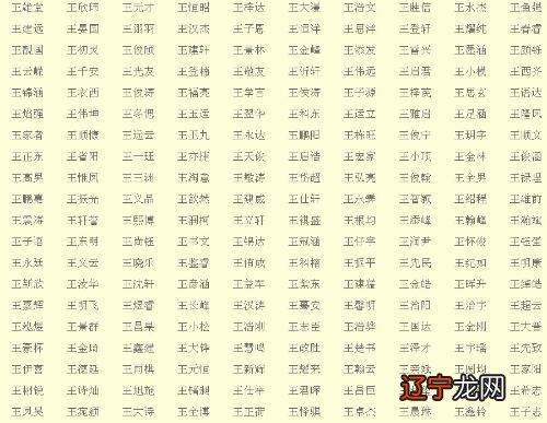 姓的王名字大全男孩名字大全2015_李姓带王字的名字大全男孩名字大全_姓王的男孩名字大全