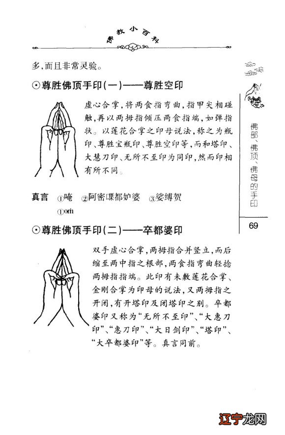 道藏术数9种_中华道藏和正统道藏_数字画动物100种