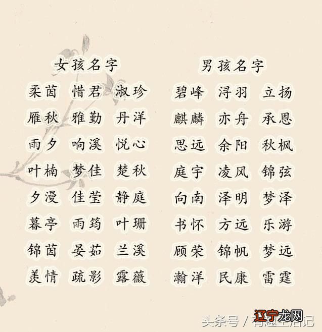 杨姓2021女宝宝取名大全_朱姓女宝宝取名大全2021_女宝宝取名字大全集2021