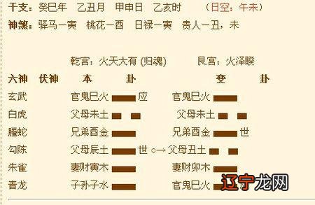 六爻卦入门步骤及方法 如何学习六爻卦