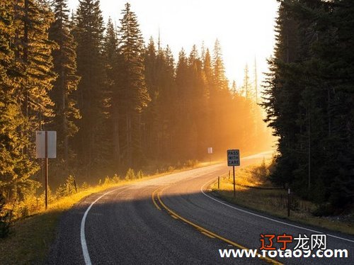 梦见迷路_梦见旅游迷路_梦见回家迷路