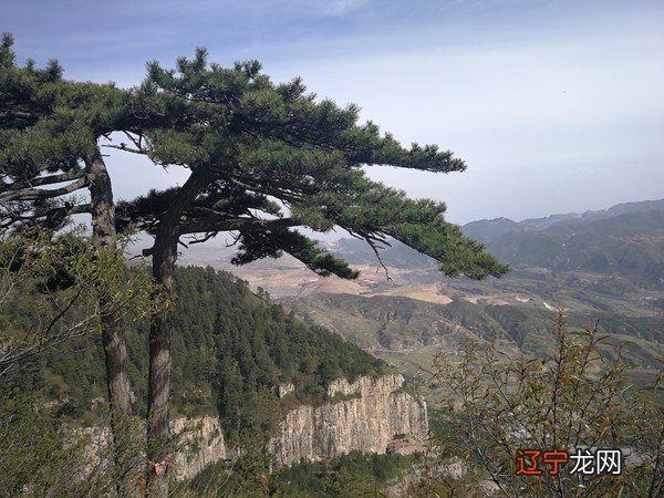 文化从来都是“苦”的，余秋雨用10句话还历史以真相，生命以过程