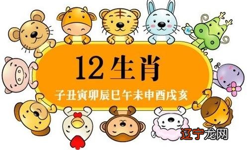 61年属什么生肖今年几岁_2017年8岁今年属什么生肖_今年33岁属什么生肖