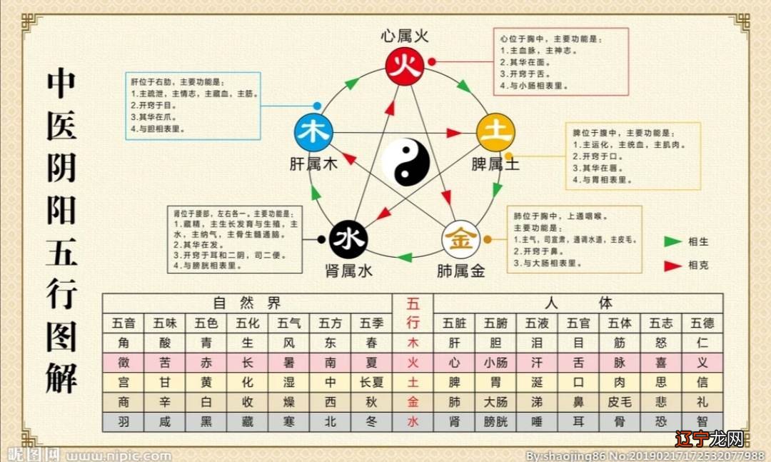 学习周易阴阳学说的心得体会_全国说课标说教材大赛体会_采访学长的心得和体会