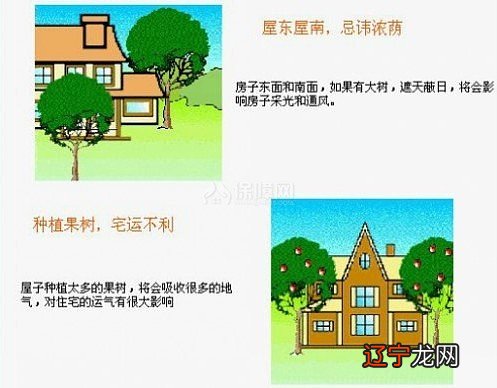 局部装饰 现局部装饰 现代建筑装修代建筑装修学图解