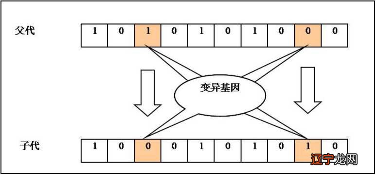 周易 数字占卜法_周易数字三含义_周易五行相对应的数字