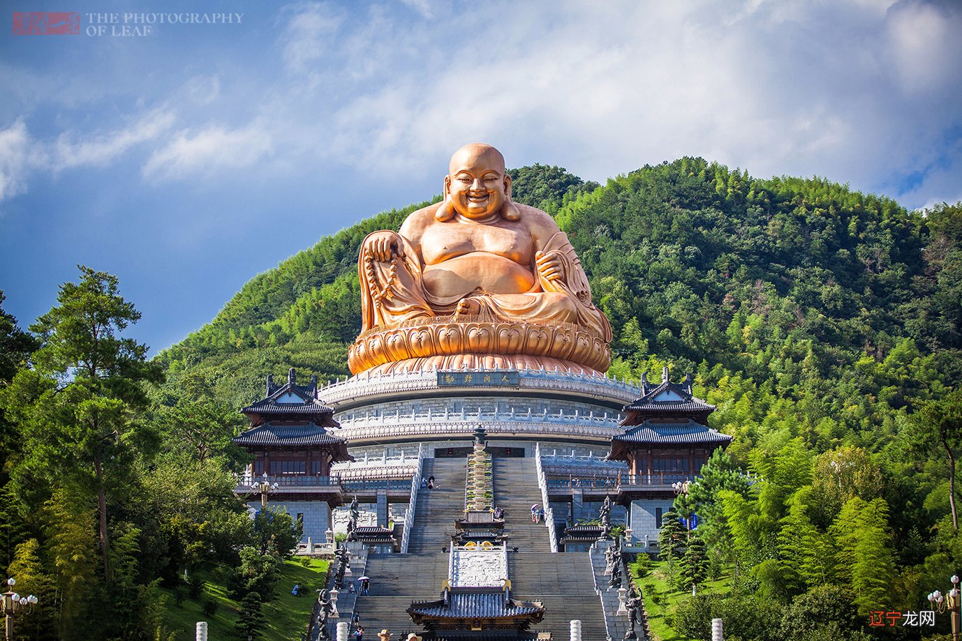 梦见悬崖峭壁摘野果_山上的小野果叫什么_梦见山上摘野果