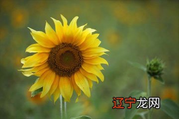 2022女宝宝取名大全集分享不要错过,可供参考错过