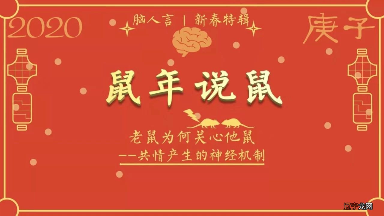 鼠生肖和什么生肖相旺_43岁生肖属什么生肖_属鼠十二生肖xinyun数字