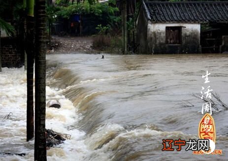 梦见衣服里裤子里全是蜜蜂_梦见家里添丁_欲望家竹内纱里 迅雷下载