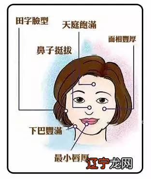 面相学图解 女人_女人鼻子面相图解_女人腰有痣面相图解