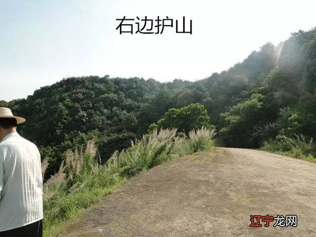 杨公风水学详解_杨公二十四山立向详解_赣州杨公风水