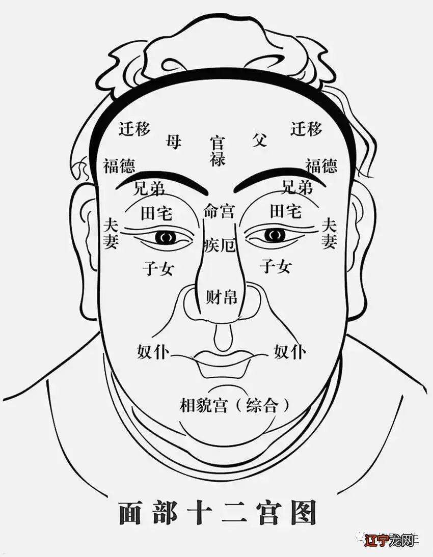 手相面相图文百科书_关于面相学的书_自学面相看什么书