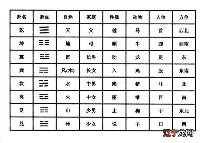 周易入门_周易初学入门_周易初学视频教程