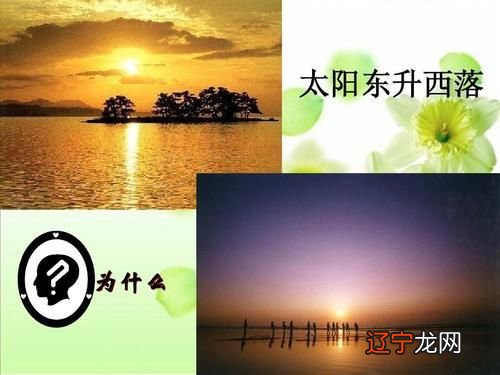 太极神测占卜_塔罗占卜运势在线占卜_太极占卜