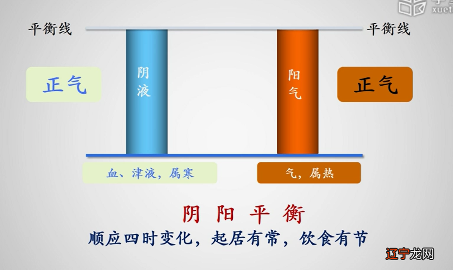 传统八字命理精解_快速学命理_传统命理学干支作用路线