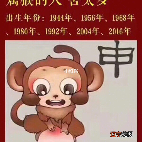 2016生肖猴五行属什么_86年属什么生肖多大_12生肖属猴多大