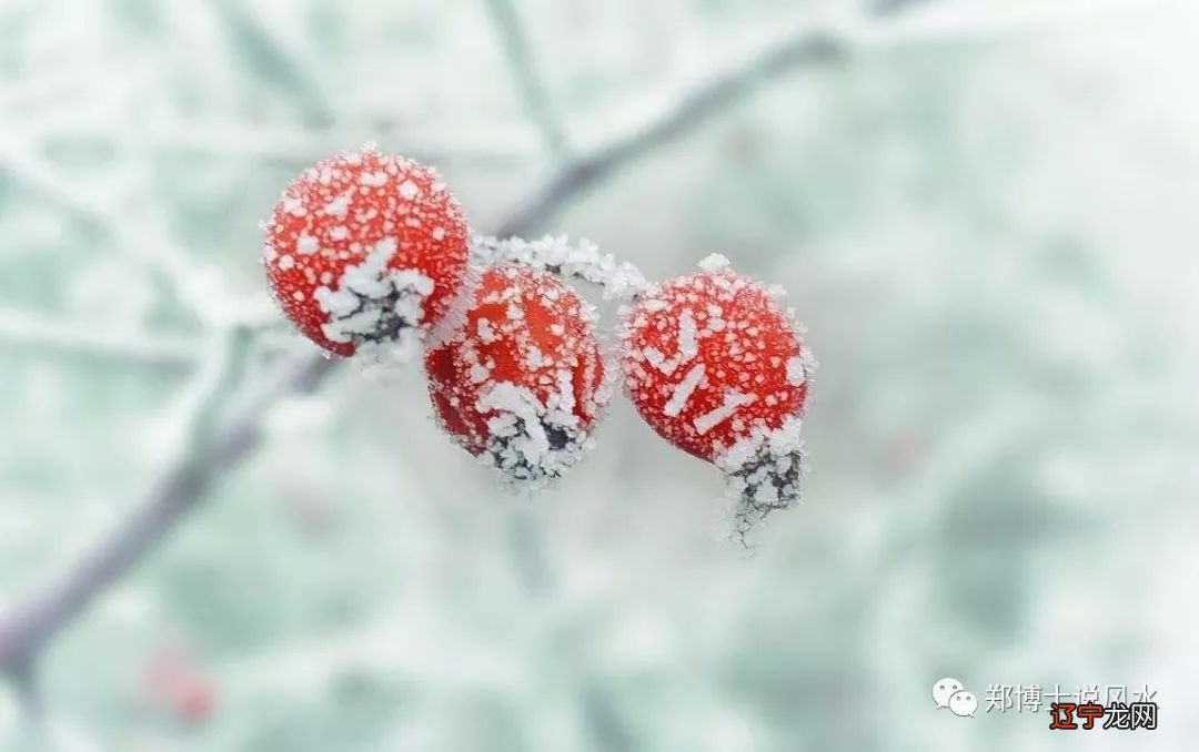 寒露属于什么生肖_蔡国威属于什么生肖_2014年属于什么生肖