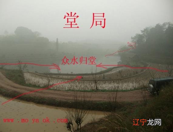 风水学怎么拜师_中华勤学故事叶天士拜师谦学_想学风水去哪里拜师