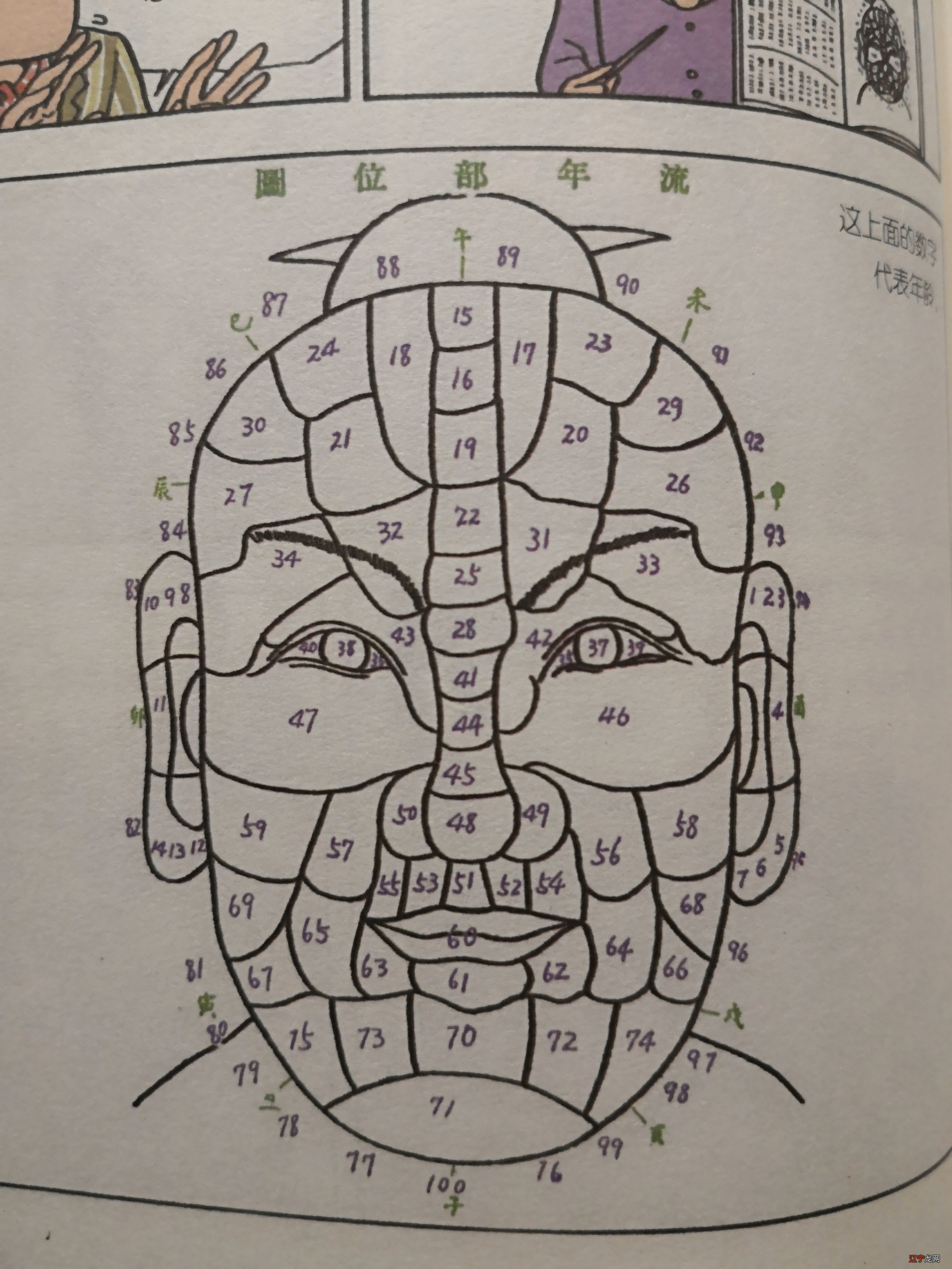 手相学大全_《周易相学入门》pdf_相学入门