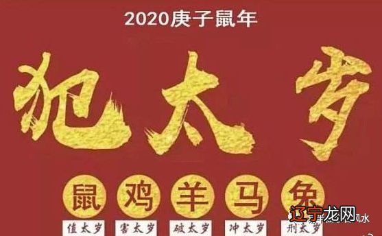 1986年出生五行属什么_1954年属什么生肖五行属_84年出生生肖五行属什么意思